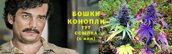 прущие крисы Верхний Тагил