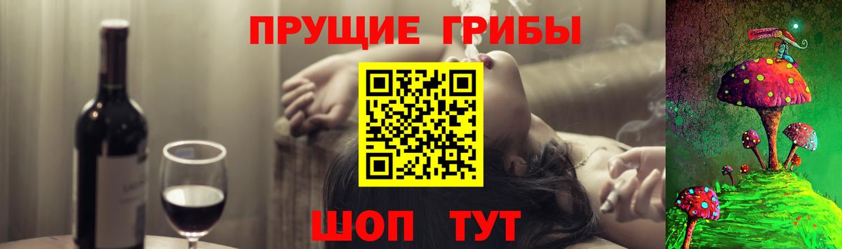 Октябрьский  дарнет шоп  Вход с VPN  Галлюциногенные грибы Psilocybine cubensis 